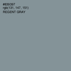 #839397 - Regent Gray Color Image